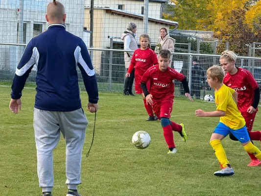 31.10.2024 TSV 1910 Niemberg vs. SV Großgräfendorf