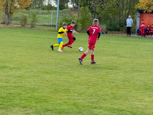 31.10.2024 TSV 1910 Niemberg vs. SV Großgräfendorf