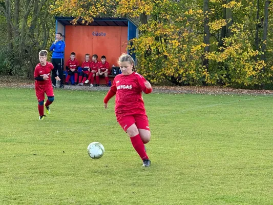 31.10.2024 TSV 1910 Niemberg vs. SV Großgräfendorf