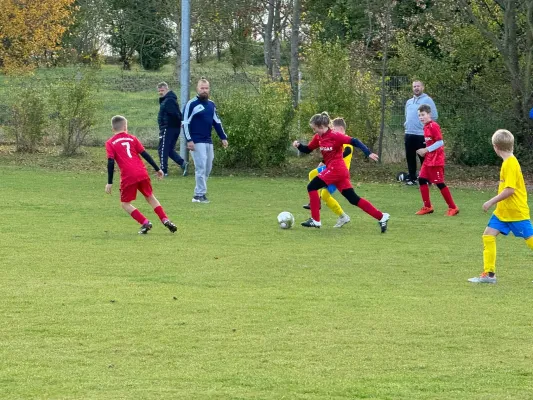 31.10.2024 TSV 1910 Niemberg vs. SV Großgräfendorf