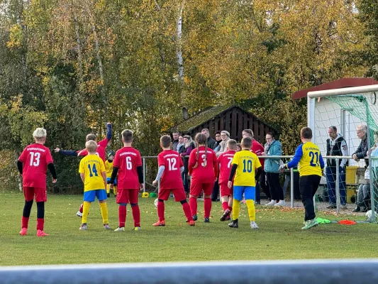 31.10.2024 TSV 1910 Niemberg vs. SV Großgräfendorf