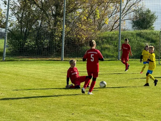 31.10.2024 TSV 1910 Niemberg vs. SV Großgräfendorf