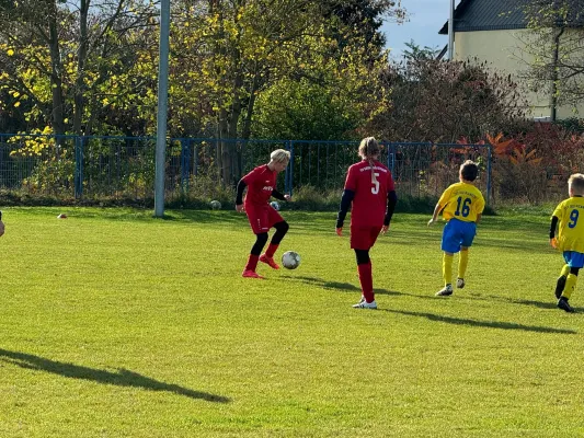 31.10.2024 TSV 1910 Niemberg vs. SV Großgräfendorf