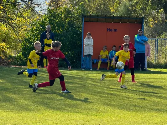 31.10.2024 TSV 1910 Niemberg vs. SV Großgräfendorf