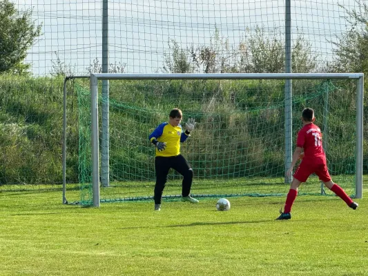 31.10.2024 TSV 1910 Niemberg vs. SV Großgräfendorf