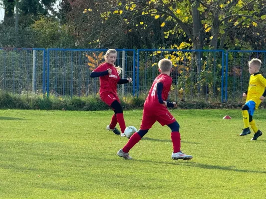 31.10.2024 TSV 1910 Niemberg vs. SV Großgräfendorf