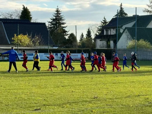 23.11.2024 SV Großgräfendorf vs. VfB Merseburg