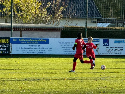 23.11.2024 SV Großgräfendorf vs. VfB Merseburg