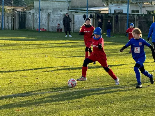 23.11.2024 SV Großgräfendorf vs. VfB Merseburg