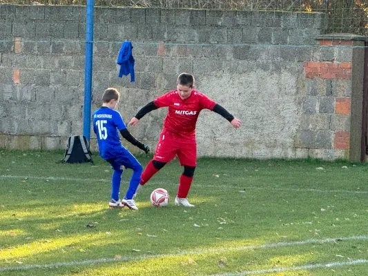 23.11.2024 SV Großgräfendorf vs. VfB Merseburg