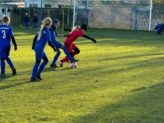 23.11.2024 SV Großgräfendorf vs. VfB Merseburg