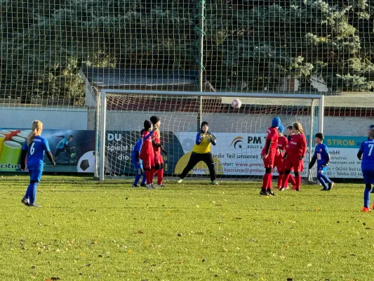 23.11.2024 SV Großgräfendorf vs. VfB Merseburg