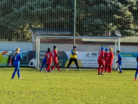 23.11.2024 SV Großgräfendorf vs. VfB Merseburg