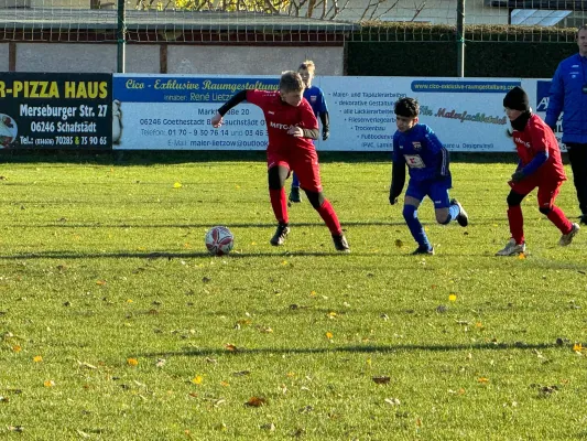 23.11.2024 SV Großgräfendorf vs. VfB Merseburg