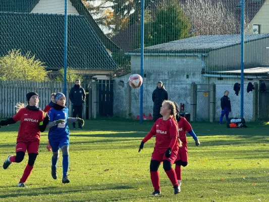 23.11.2024 SV Großgräfendorf vs. VfB Merseburg