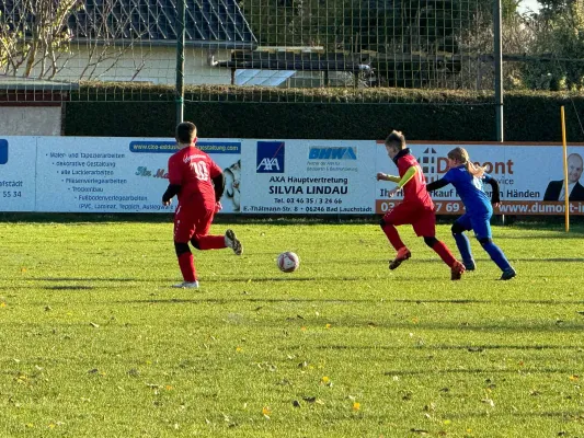 23.11.2024 SV Großgräfendorf vs. VfB Merseburg