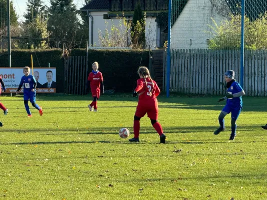 23.11.2024 SV Großgräfendorf vs. VfB Merseburg